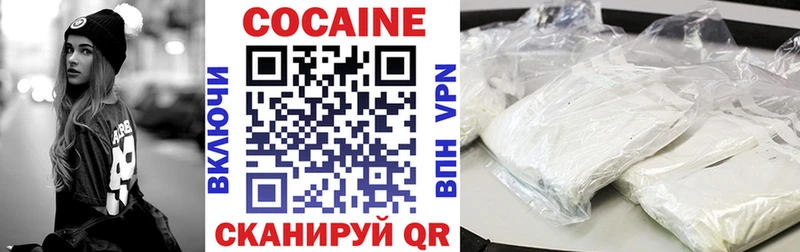 Cocaine Fish Scale  Купить закладки  Камешково 