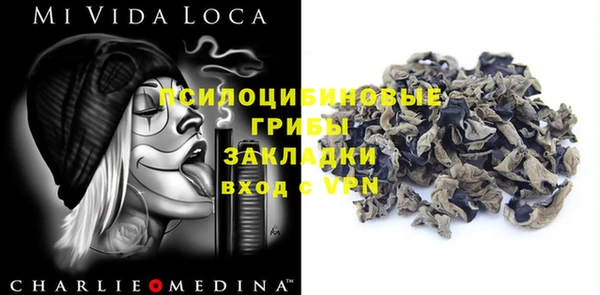 шишки Каменногорск