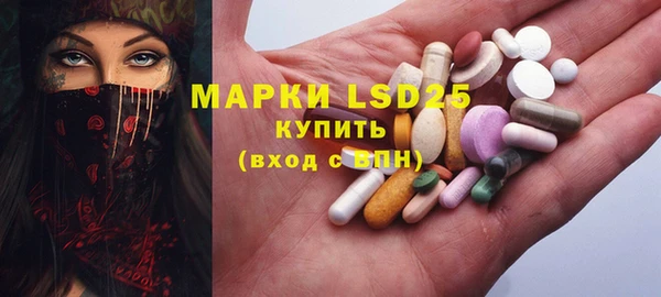 шишки Каменногорск
