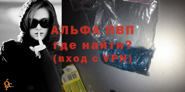шишки Каменногорск