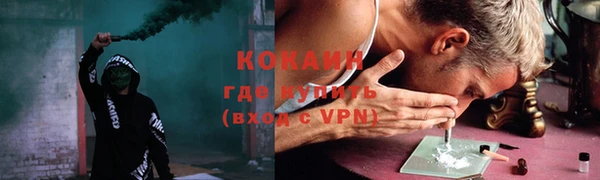 шишки Каменногорск