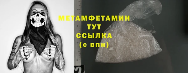шишки Каменногорск