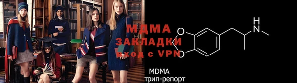шишки Каменногорск