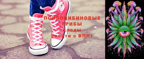 шишки Каменногорск