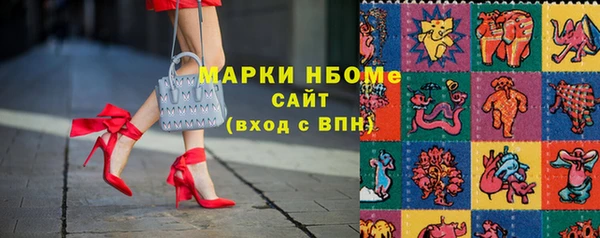 шишки Каменногорск