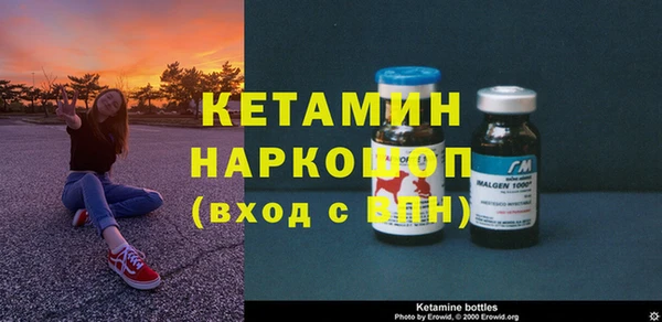 шишки Каменногорск