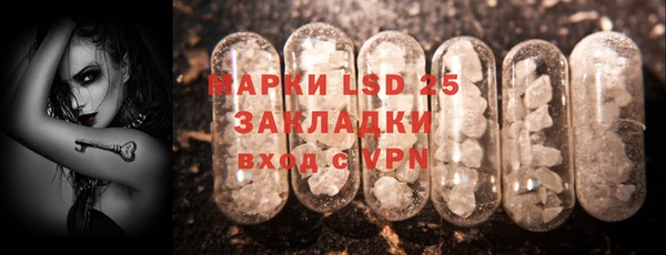 шишки Каменногорск