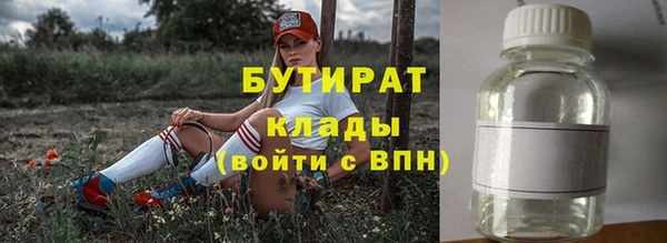 шишки Каменногорск