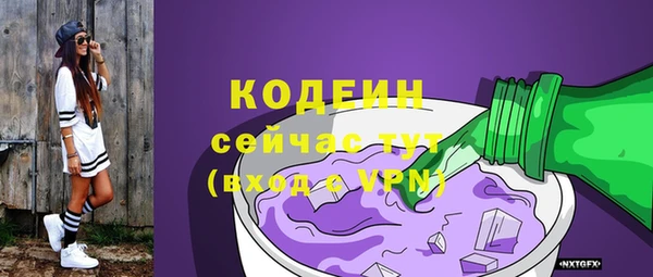 шишки Каменногорск