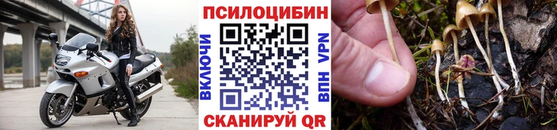 Купить закладки  Камешково  Псилоцибиновые грибы мицелий 